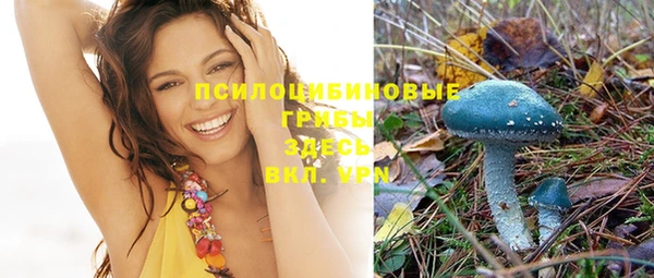 мет Инта