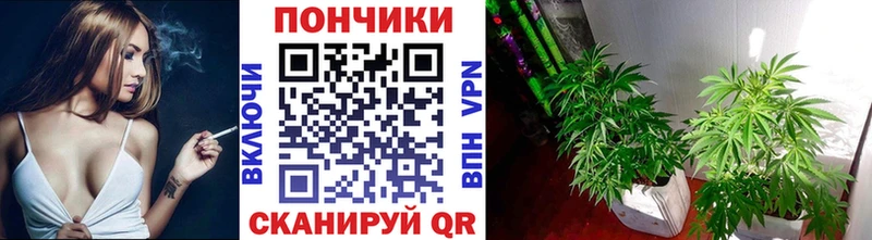 как найти наркотики  Емва  Бошки Шишки семена 